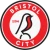 bristol-city